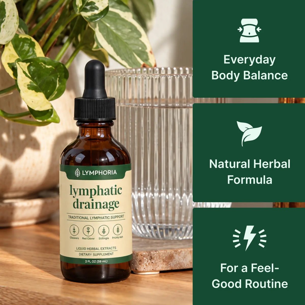 Lymphoria liquid botanical drops bottle