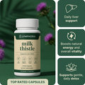 Lymphoria Milk Thistle Drops product bottle